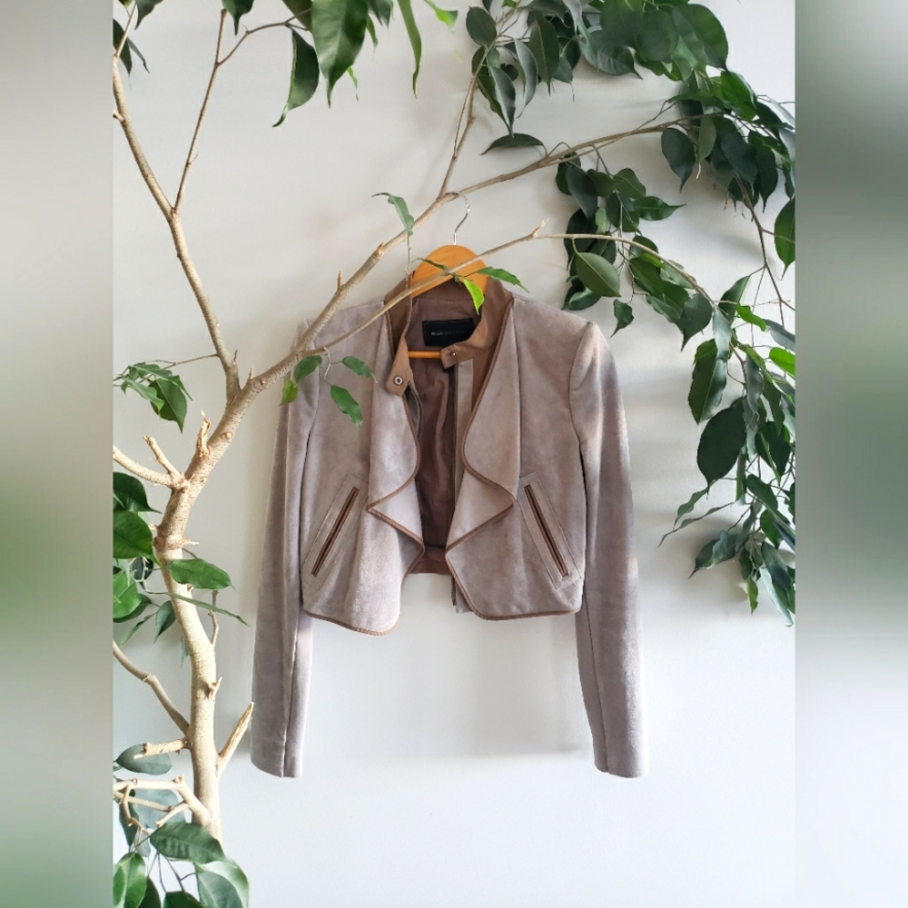 BCBGMaxAzria Sloan Faux Suede Cropped Moto Jacket in Moss Size Small Retail $300